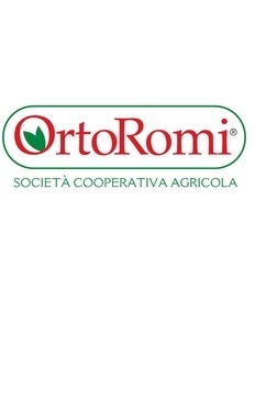 OrtoRomi